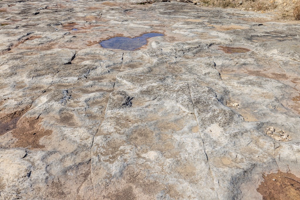 203 N Rheingold School Rd