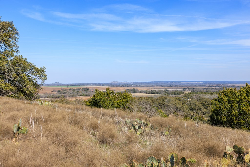 203 N Rheingold School Rd