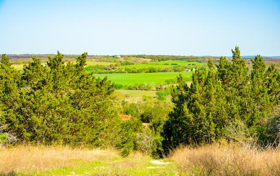 203 N Rheingold School Rd