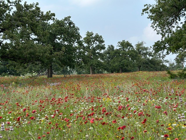 520 Isaacs Mountain Rd