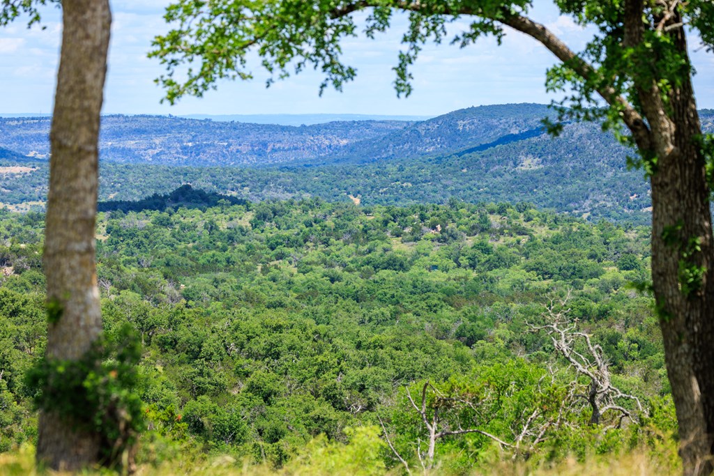 520 Isaacs Mountain Rd