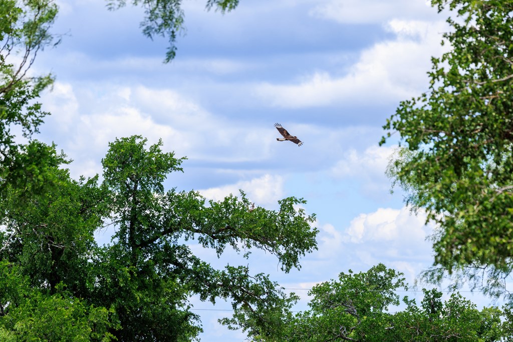 520 Isaacs Mountain Rd