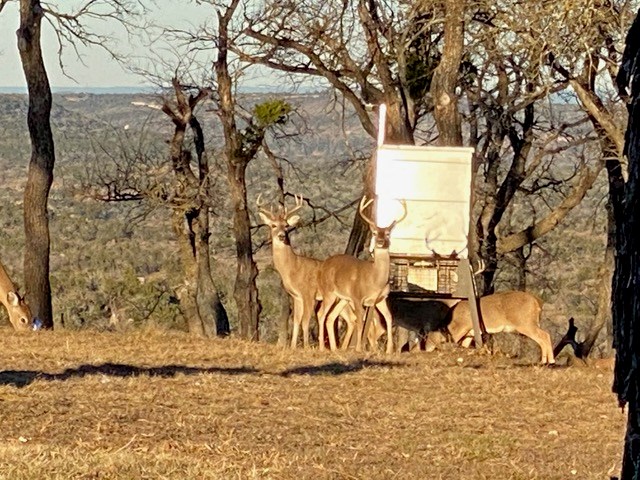 520 Isaacs Mountain Rd