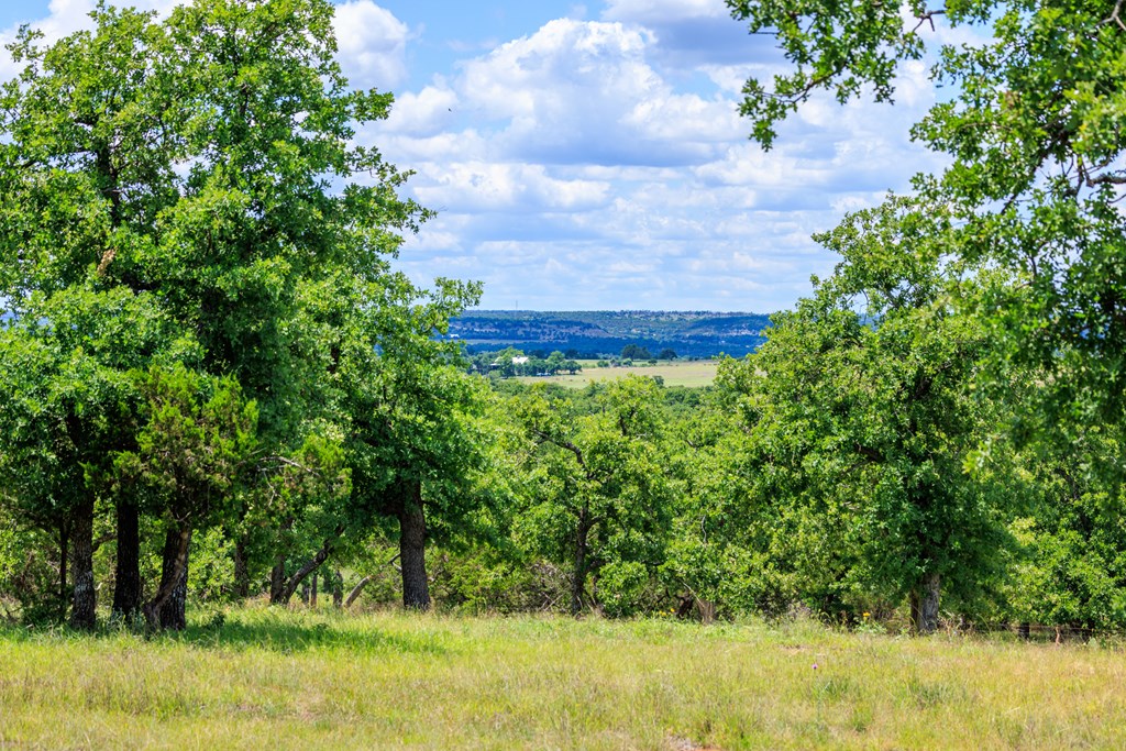 520 Isaacs Mountain Rd