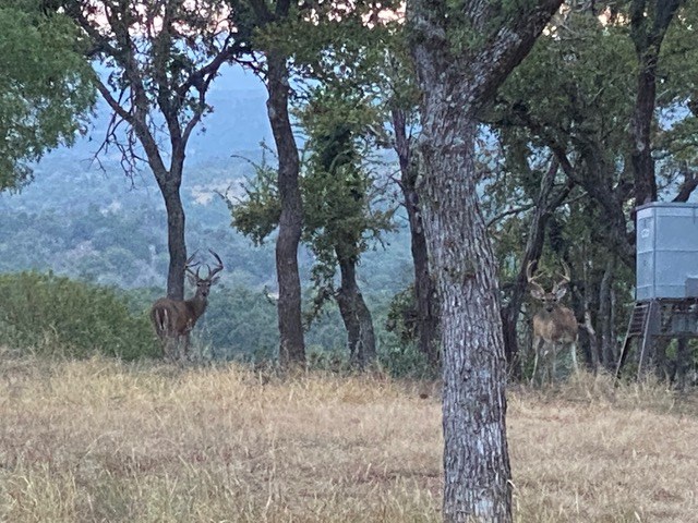 520 Isaacs Mountain Rd