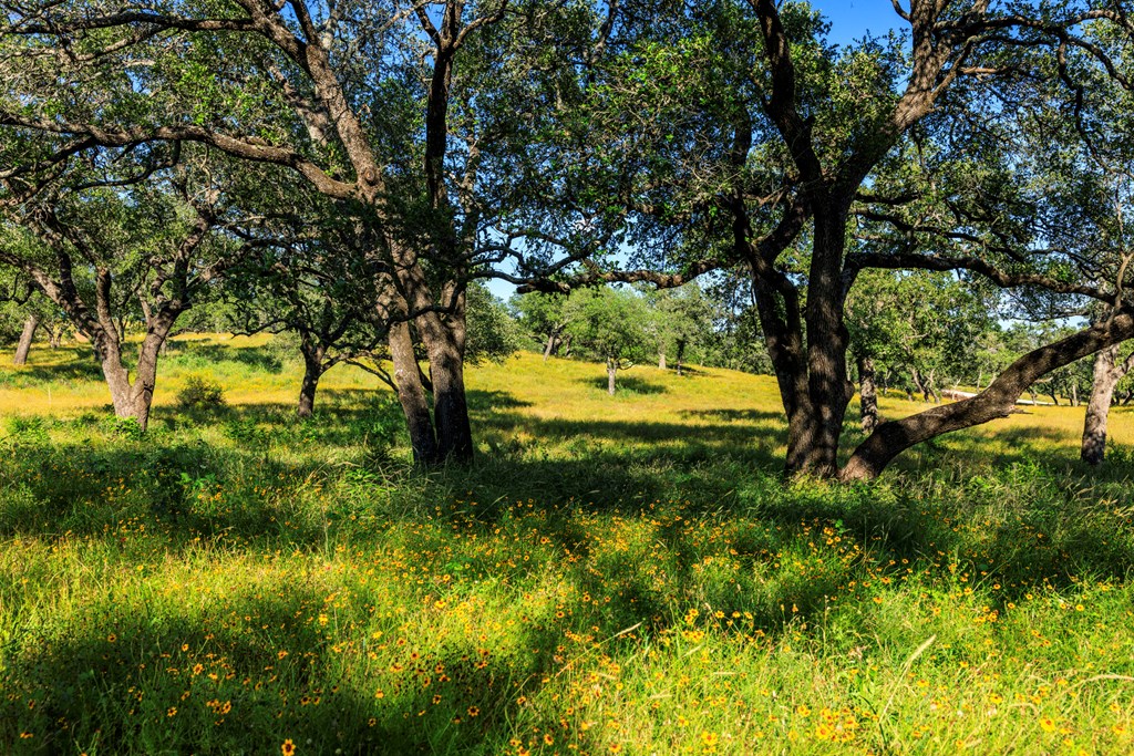 3736-1 County Rd 113