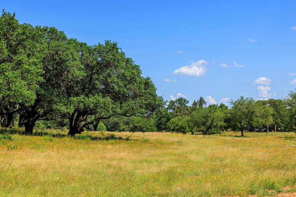 3736-1 County Rd 113