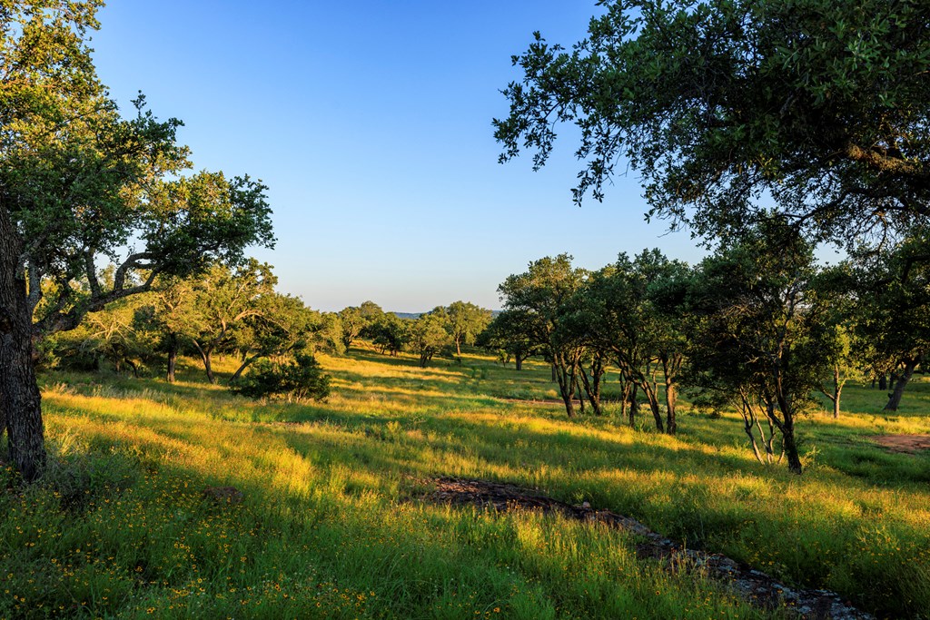 3736-1 County Rd 113