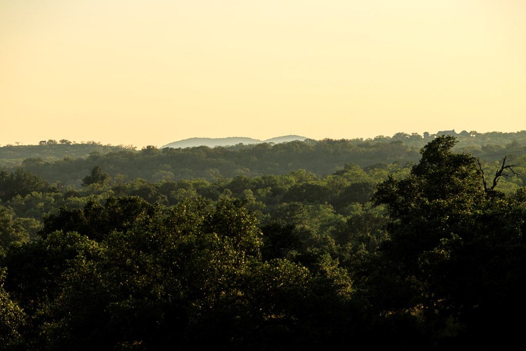 3736-1 County Rd 113