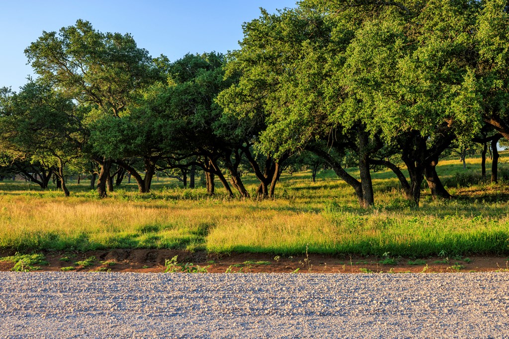 3736-3 County Rd 113