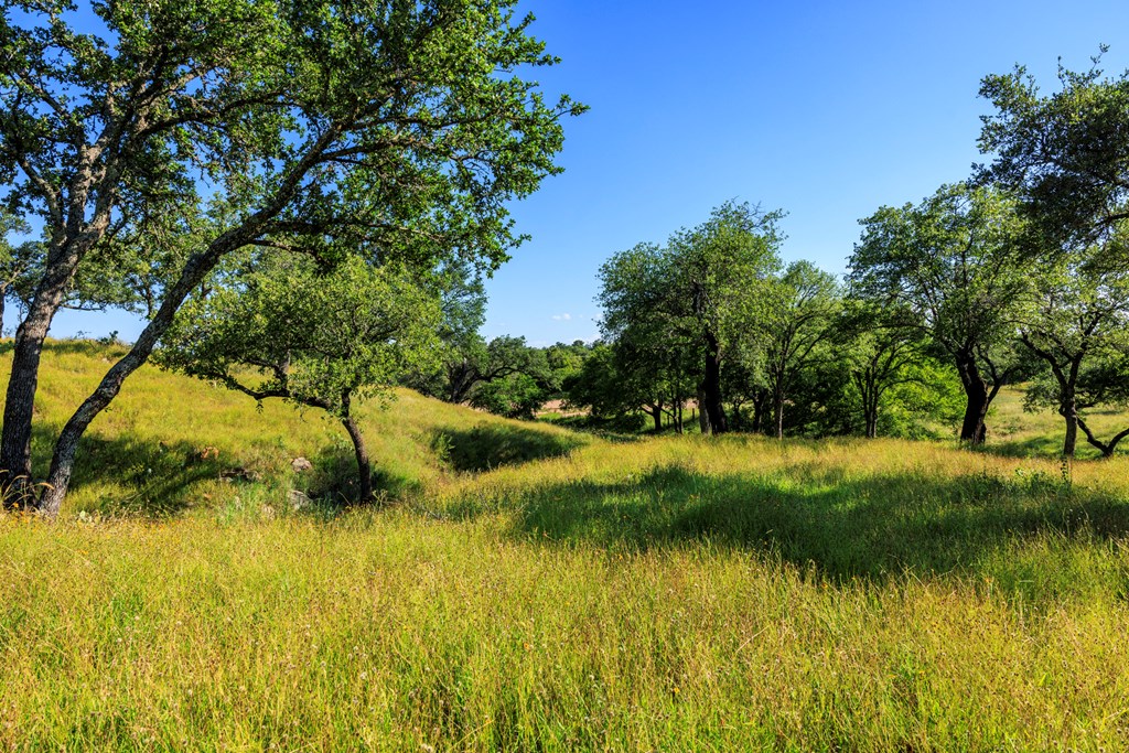 3736-3 County Rd 113