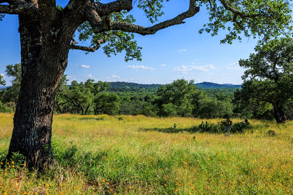 3736-3 County Rd 113