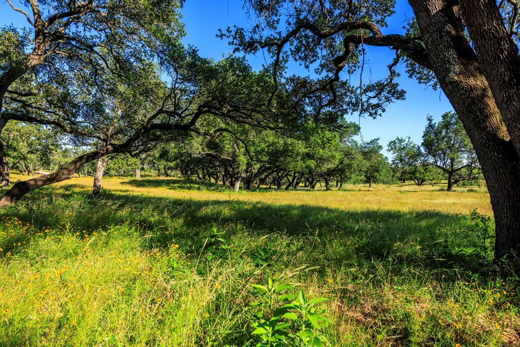 3736-4 County Rd 113