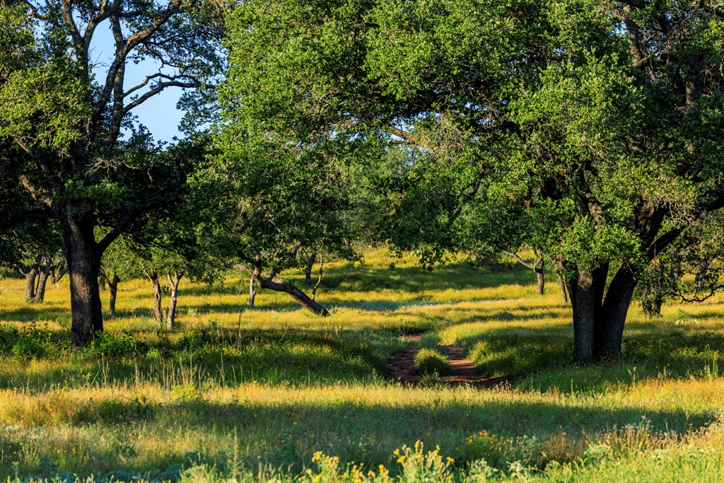 3736-4 County Rd 113