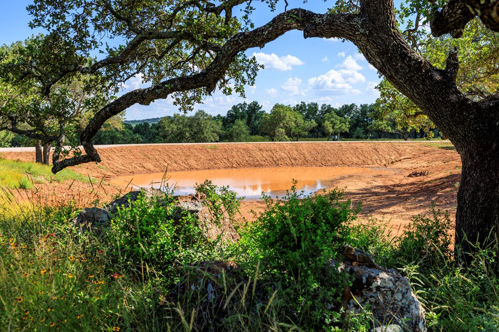 3736-5 County Rd 113