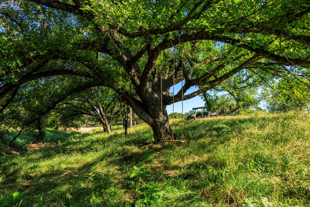 3736-6 County Rd 113