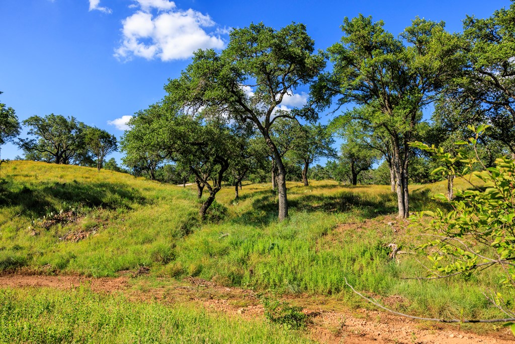 3736-6 County Rd 113