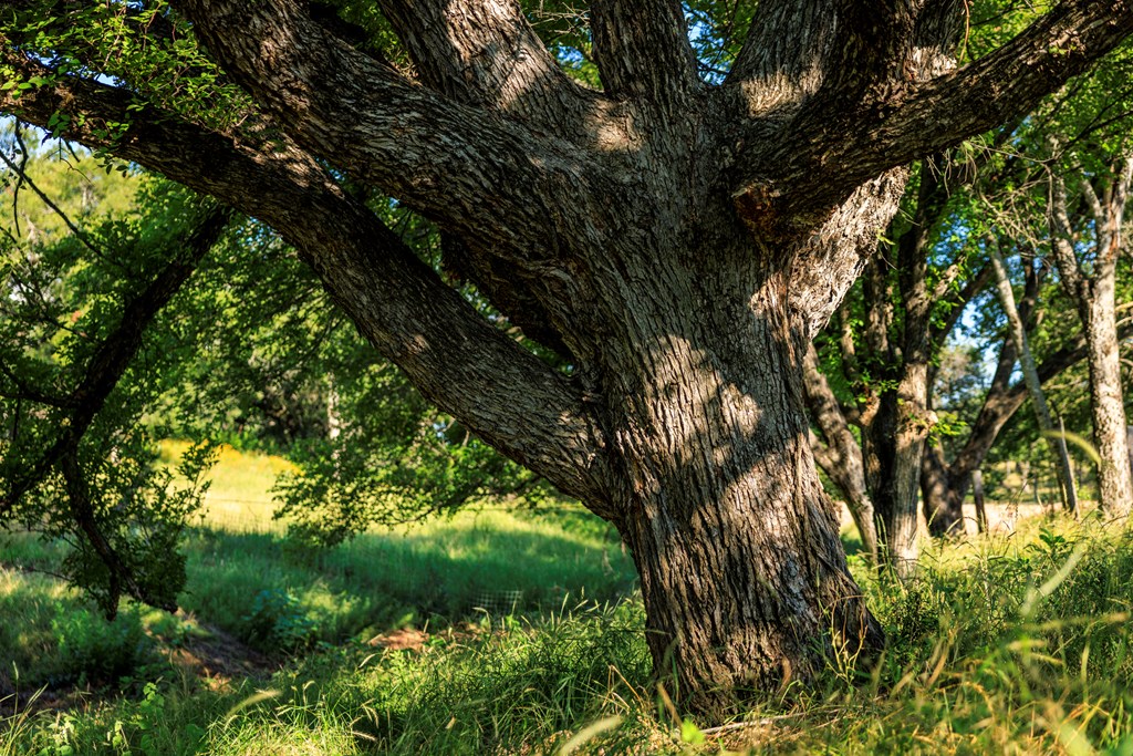 3736-6 County Rd 113