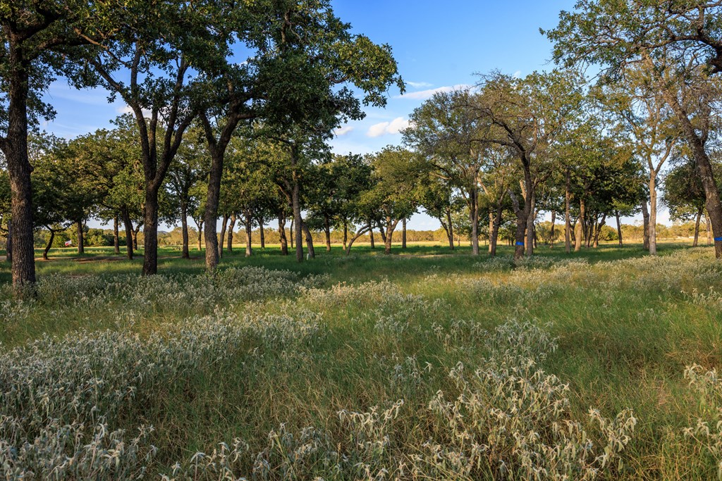 10030 E US Hwy 290