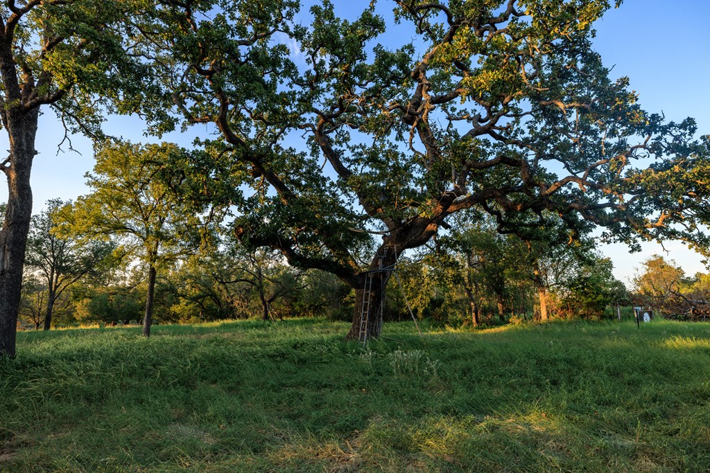 10030 E US Hwy 290