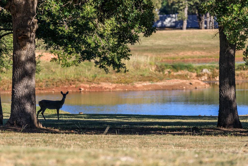 312 Interlaken St. # 20