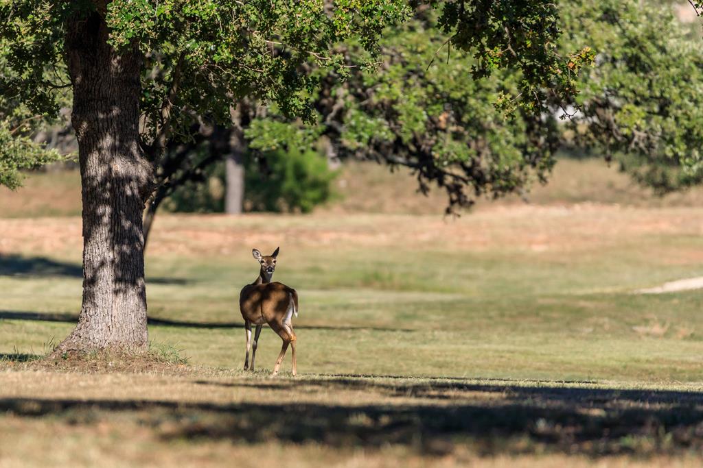 312 Interlaken St. # 20