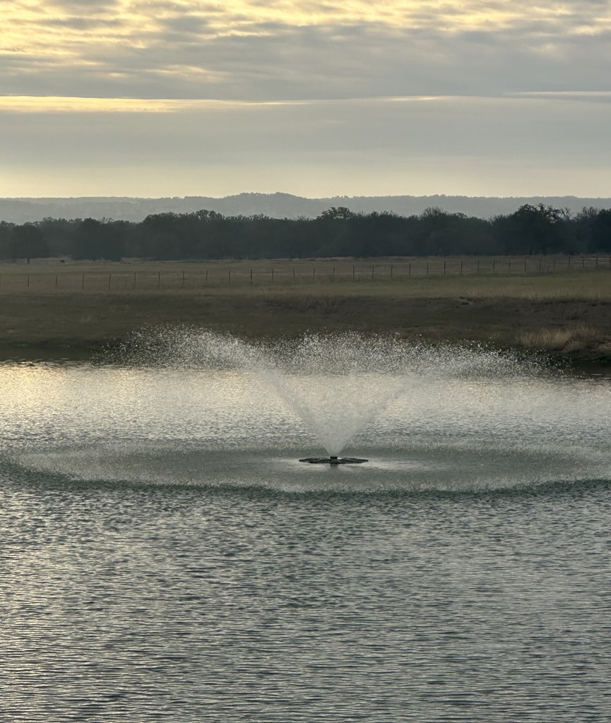 228 Interlaken St. # 12