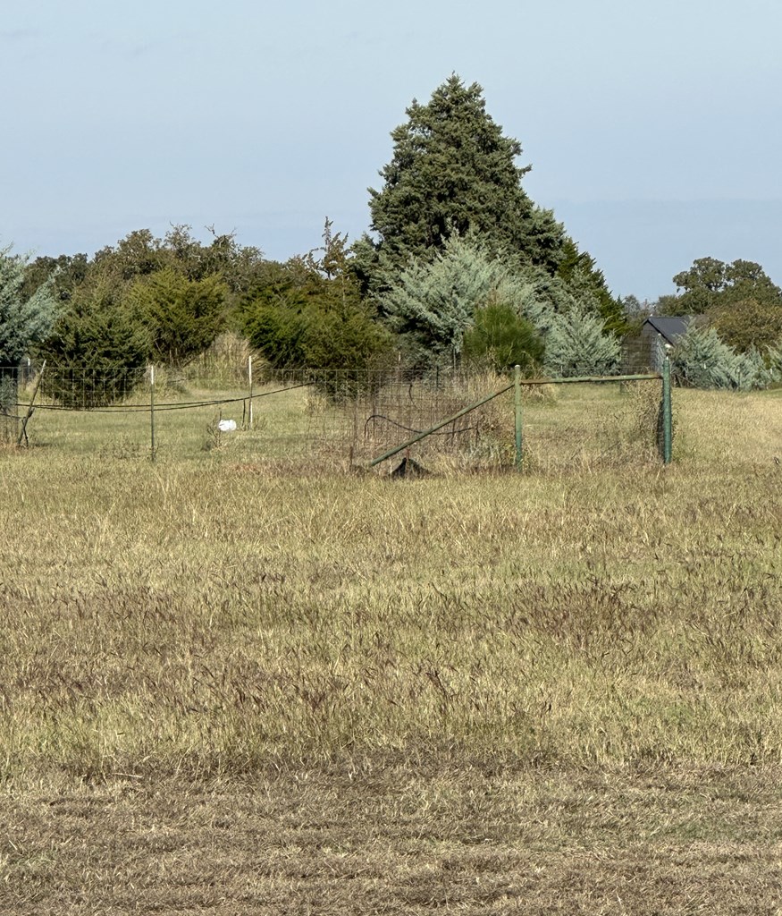 228 Interlaken St. # 12