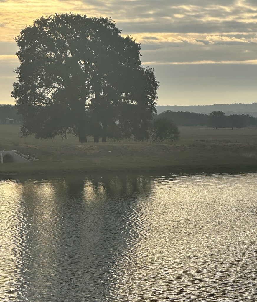 228 Interlaken St. # 12