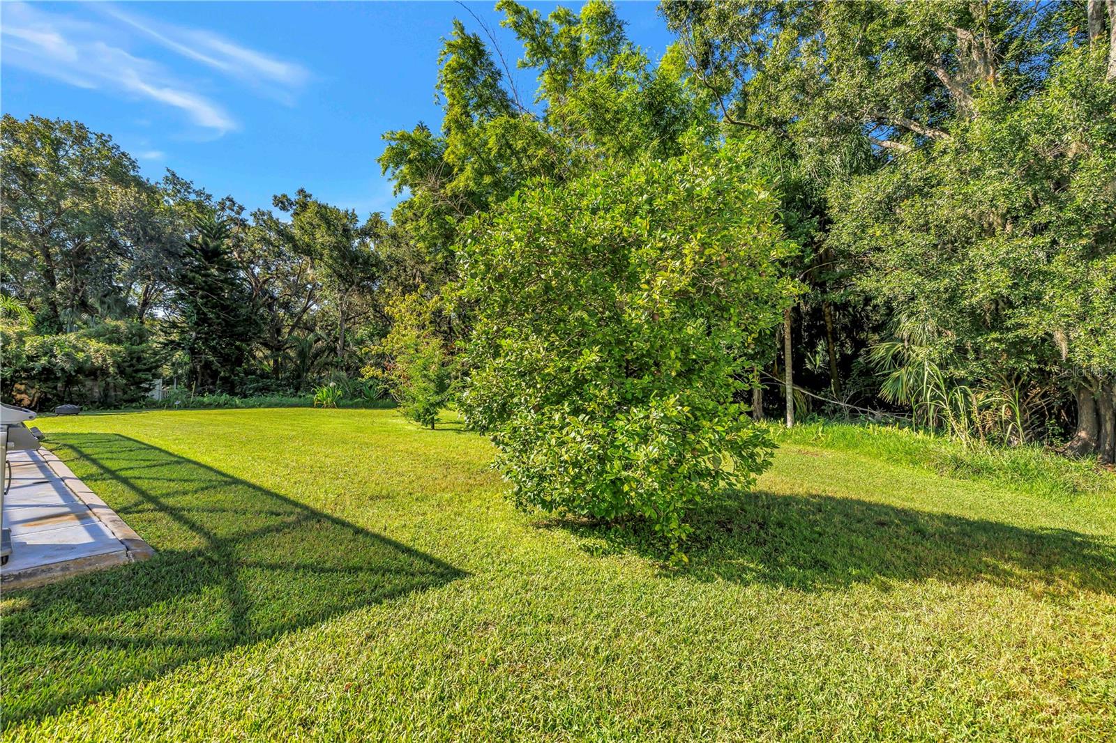 10210 VISTA POINTE DR