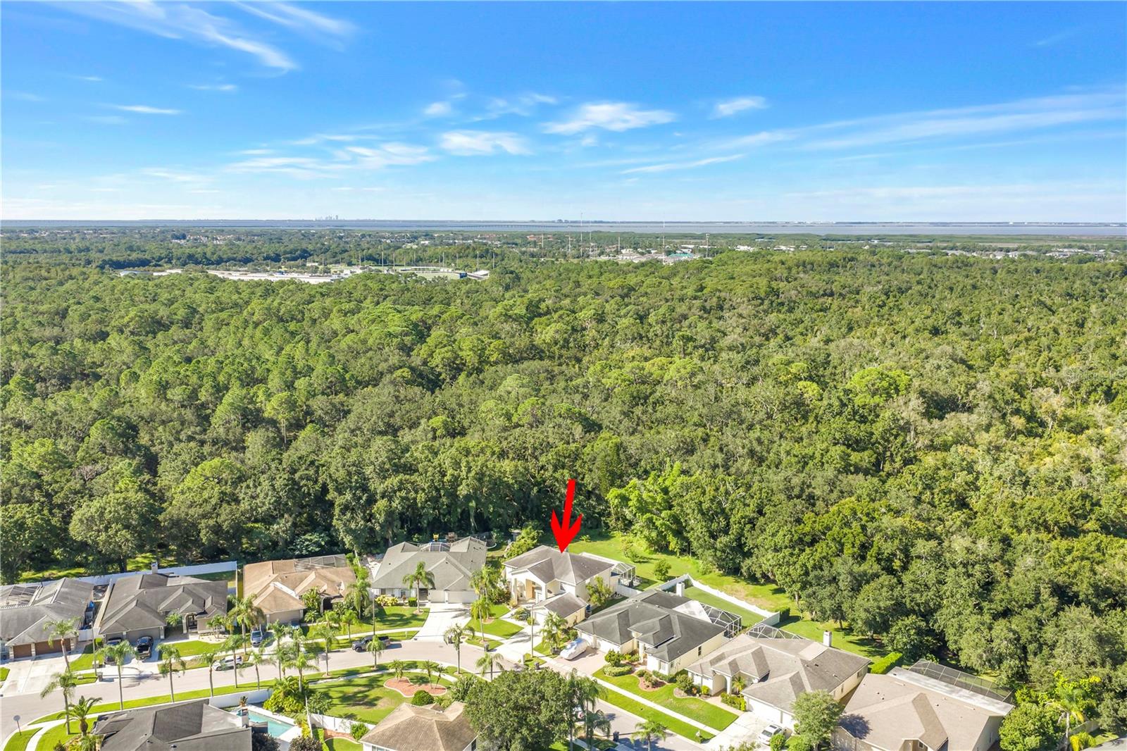 10210 VISTA POINTE DR