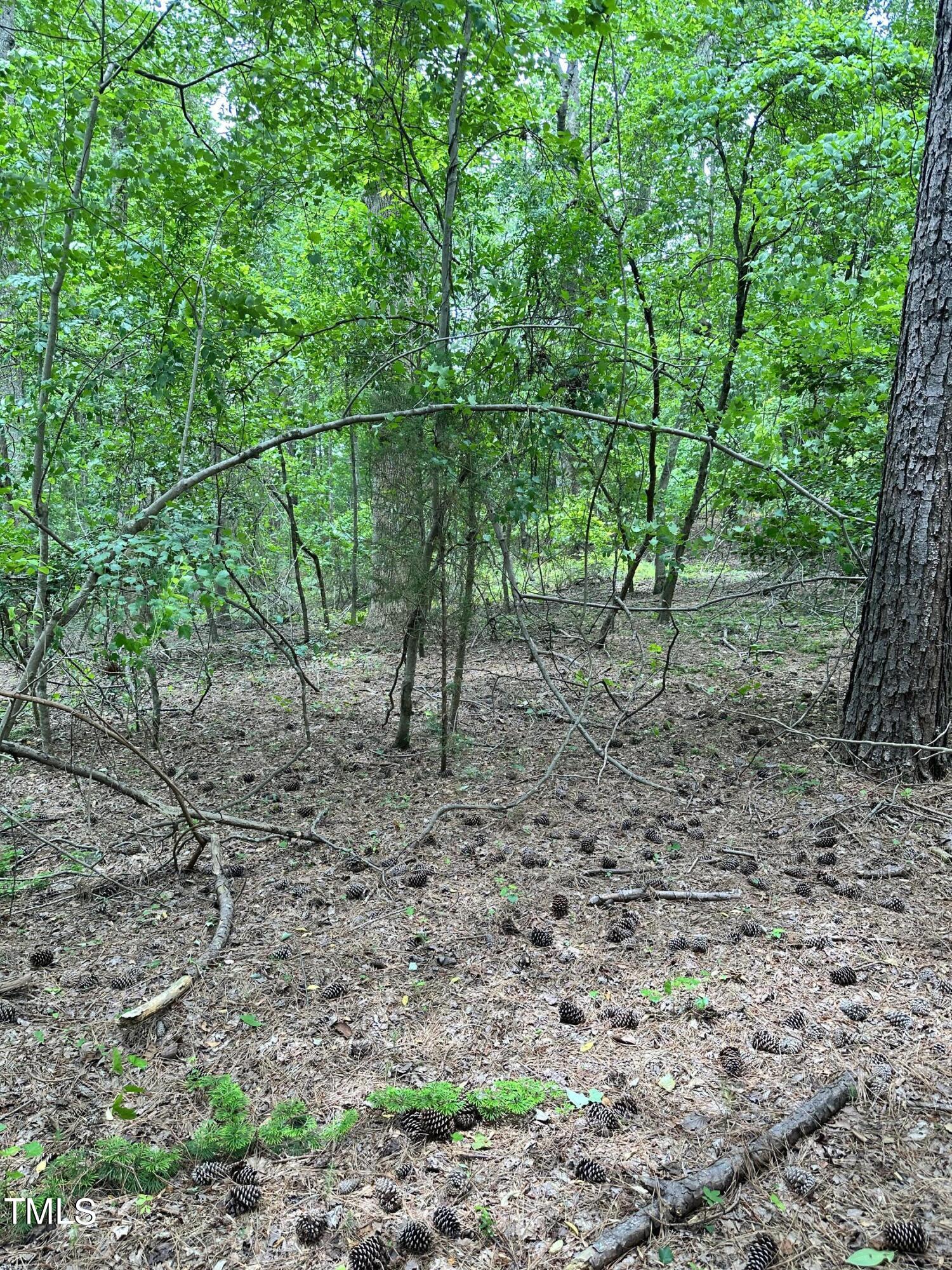 511 Longleaf Drive