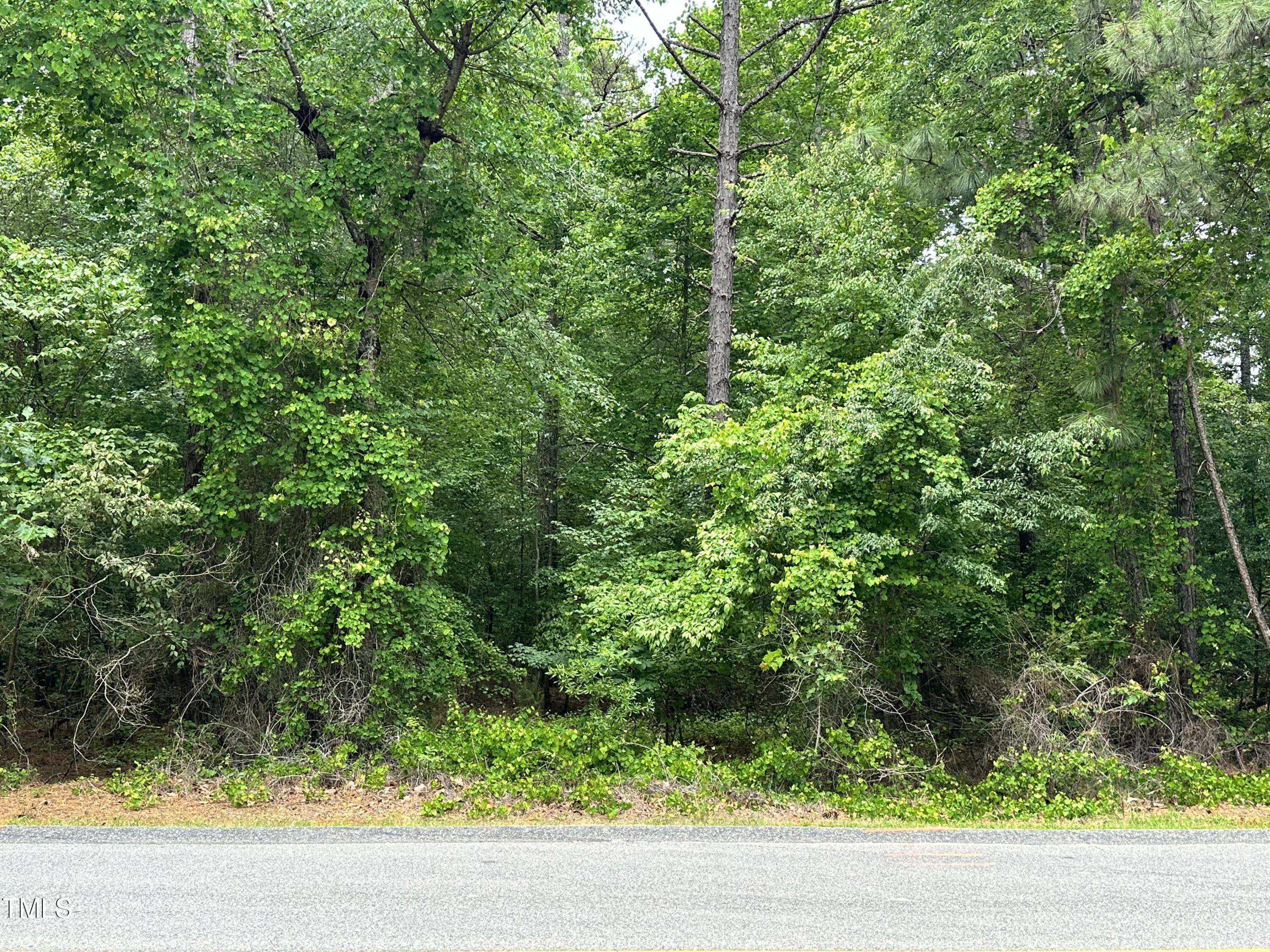 511 Longleaf Drive