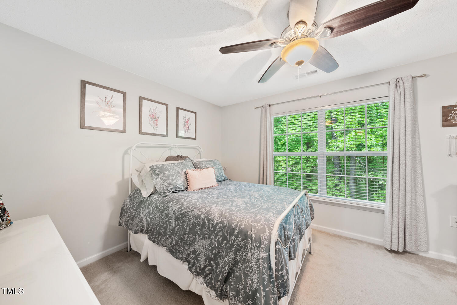 126 Star Thistle Lane