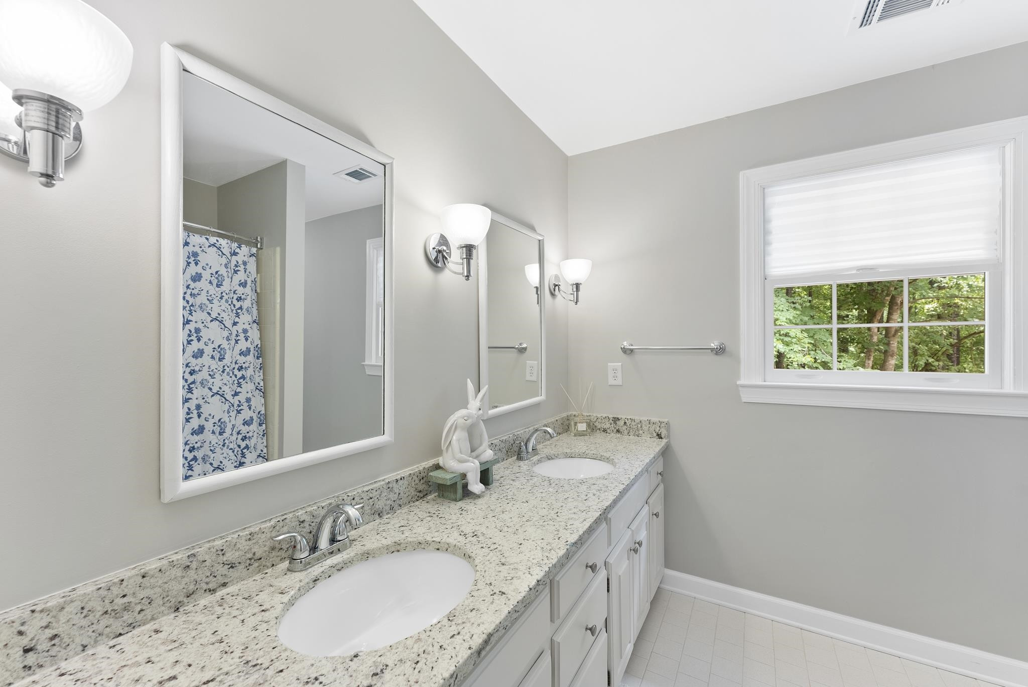 1000 W Lady Diana Court