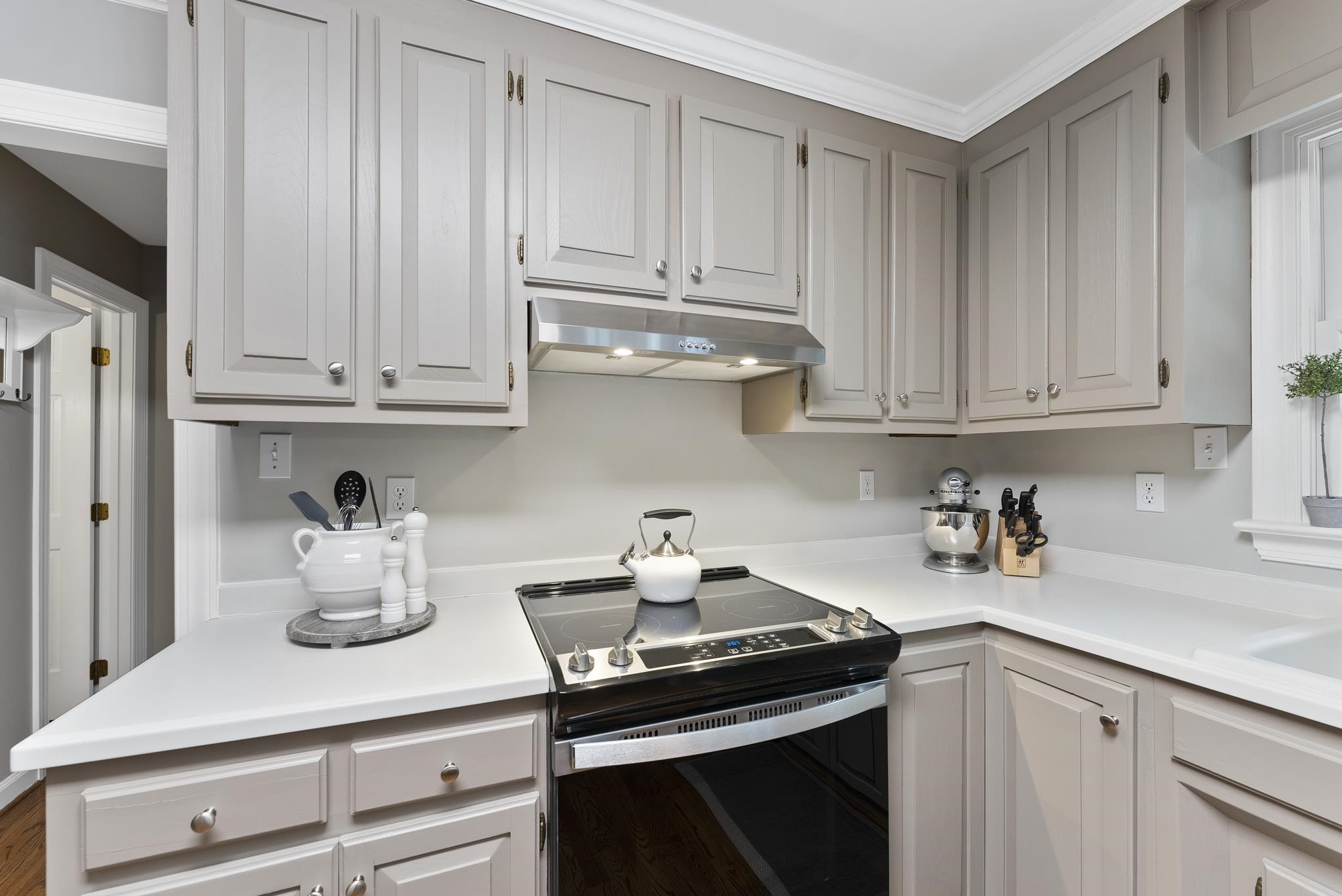 1000 W Lady Diana Court
