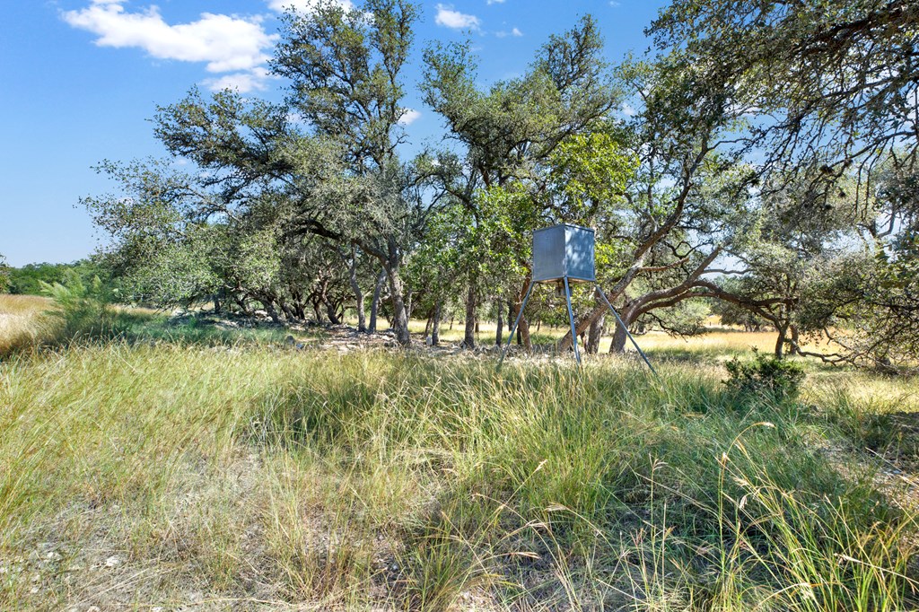 3408 Grape Creek Rd