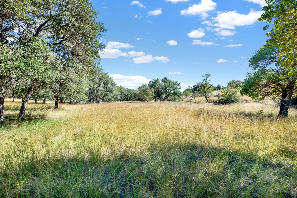 3408 Grape Creek Rd