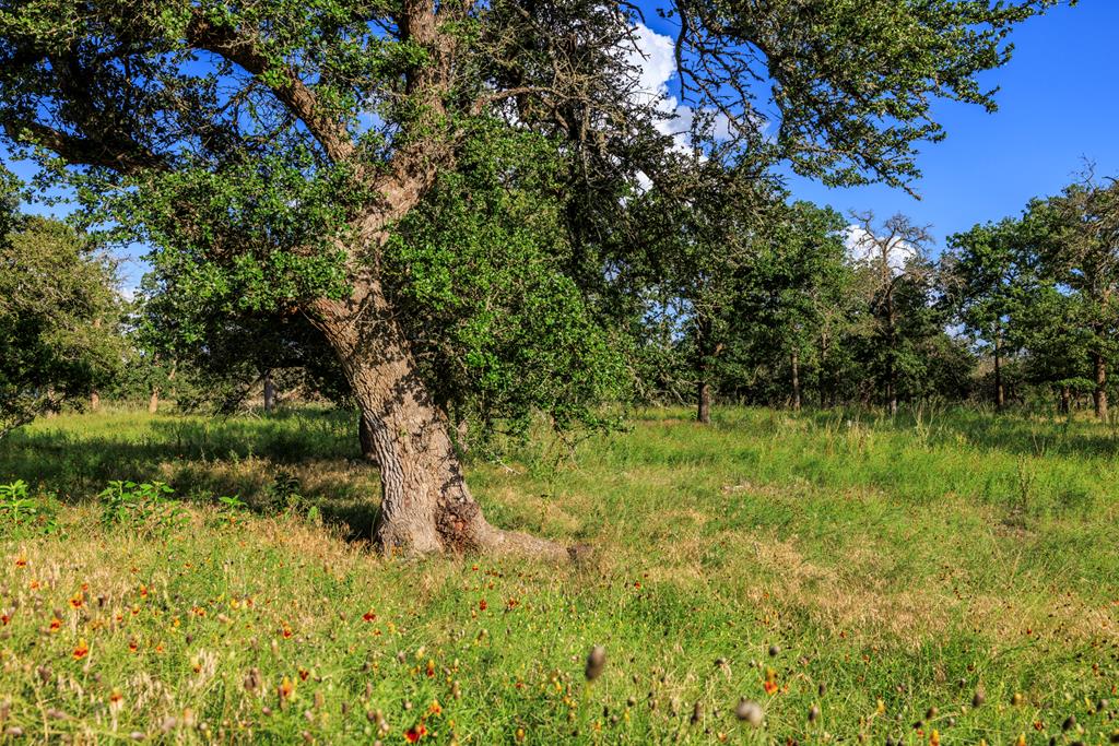 Lot 9 Inspiration Loop