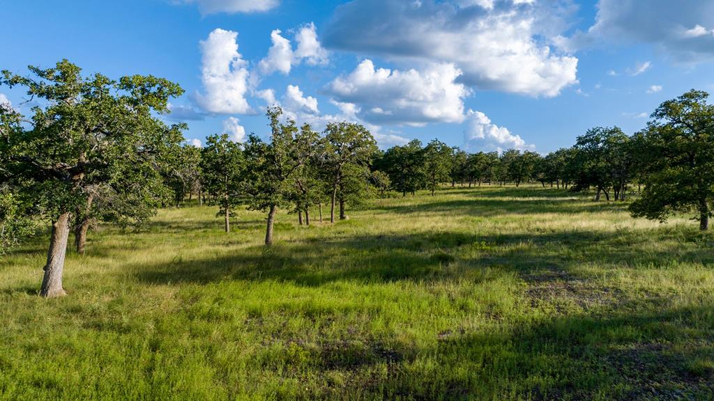 Lot 9 Inspiration Loop