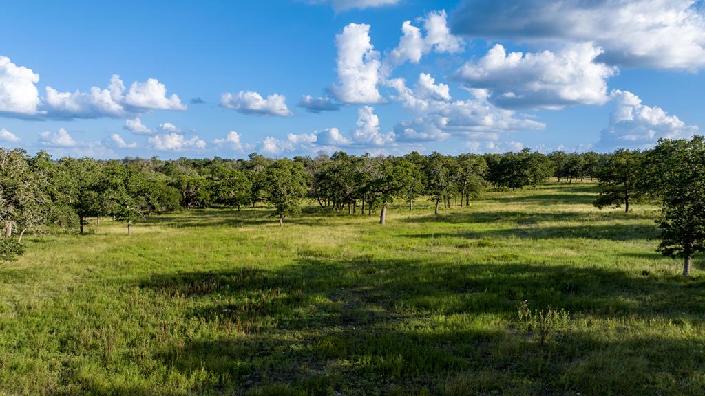 Lot 9 Inspiration Loop