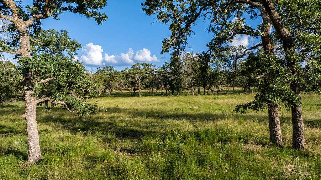 Lot 9 Inspiration Loop