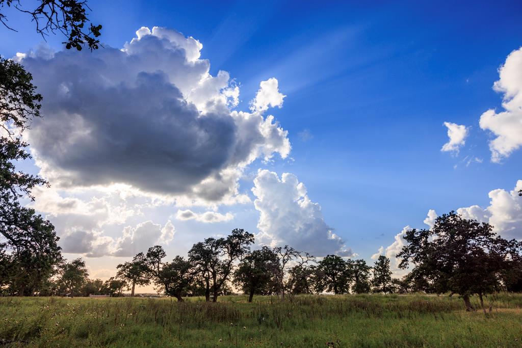 Lot 9 Inspiration Loop