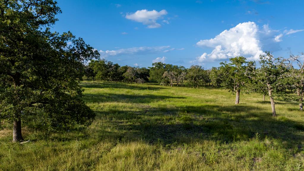 Lot 9 Inspiration Loop