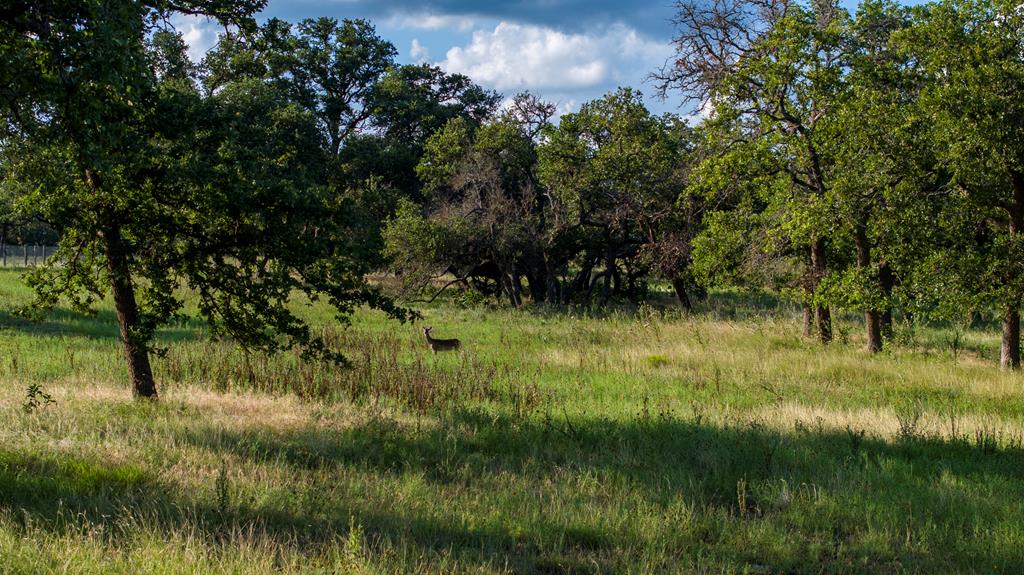 Lot 9 Inspiration Loop