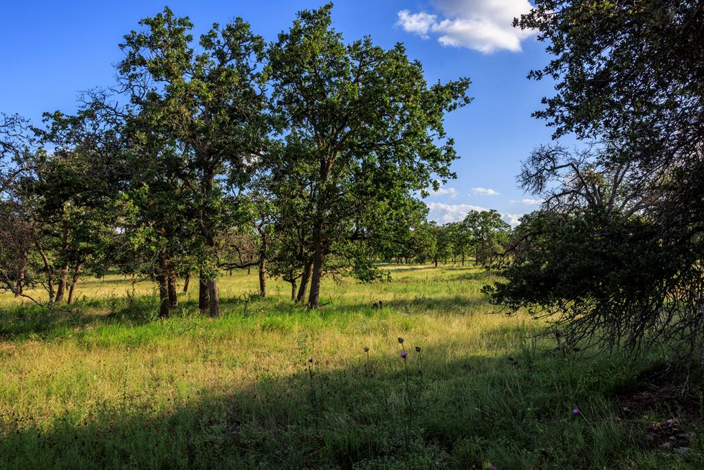 Lot 9 Inspiration Loop