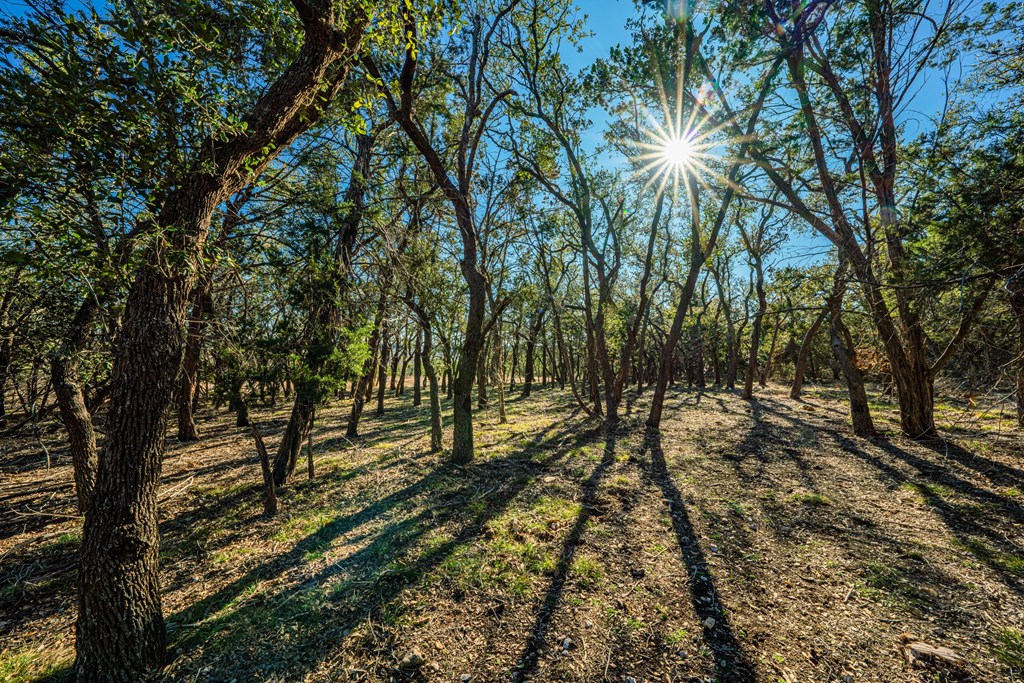 00 Ranch Rd 965