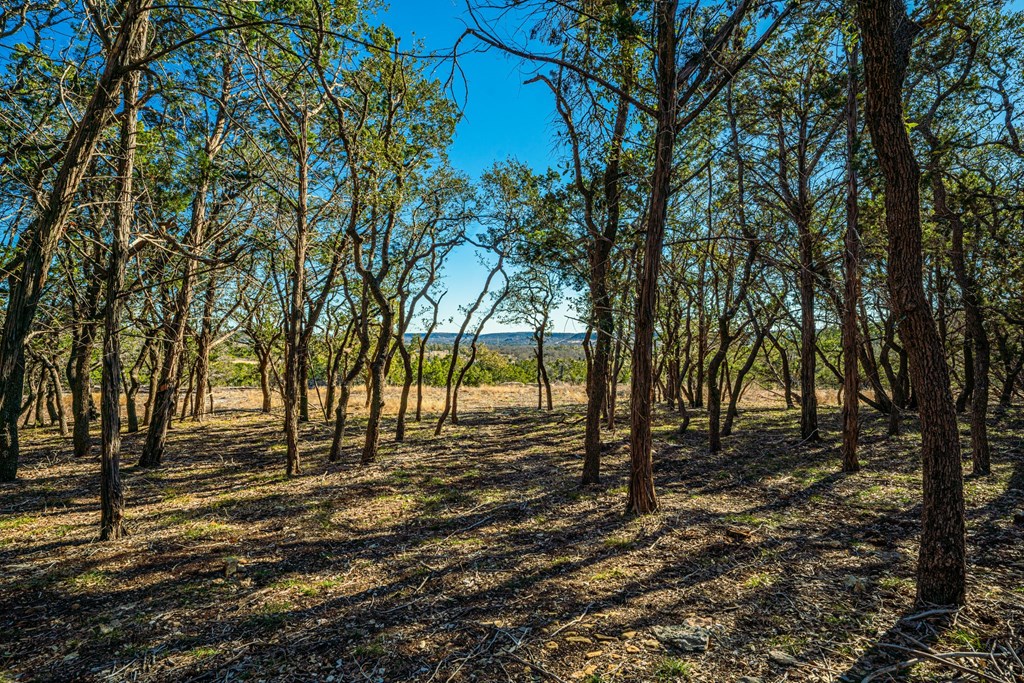 00 Ranch Rd 965