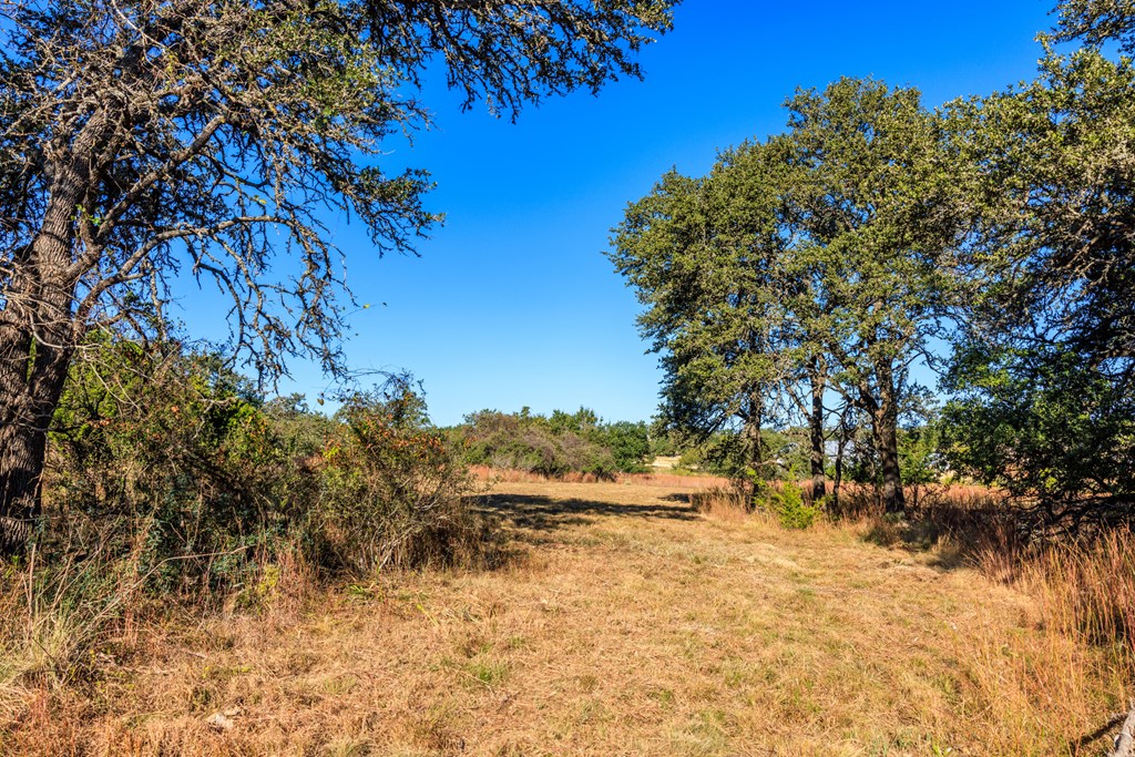 Lot 24 Axis Circle