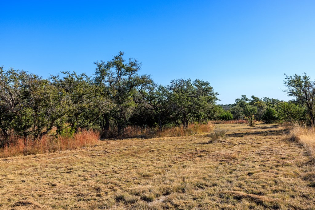 Lot 24 Axis Circle